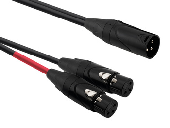 Red's Music audio cable - XLR M male / 2x XLR F female - AU3202BX - 0.2m